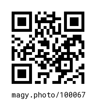 QR Code #100067