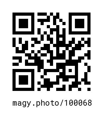 QR Code #100068
