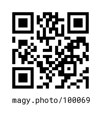 QR Code #100069