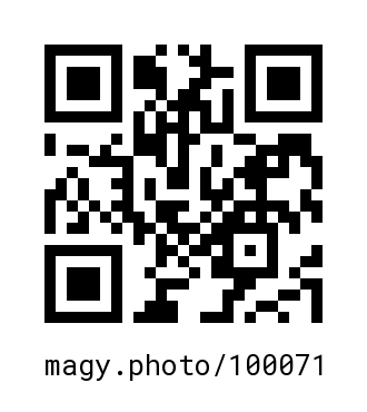 QR Code #100071