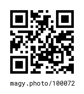 QR Code #100072
