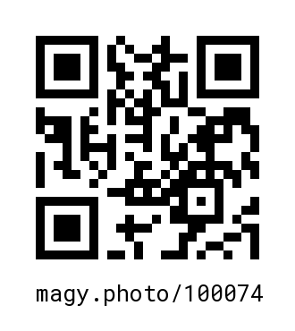 QR Code #100074