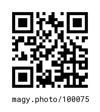 QR Code #100075