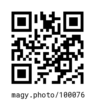 QR Code #100076