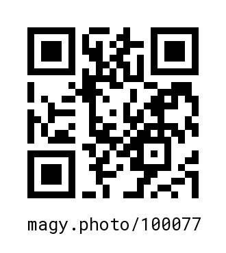 QR Code #100077