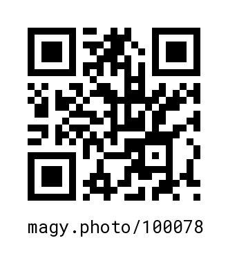QR Code #100078