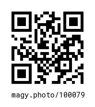 QR Code #100079
