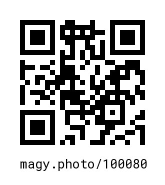 QR Code #100080