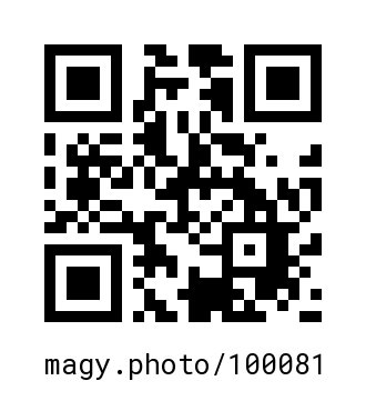 QR Code #100081