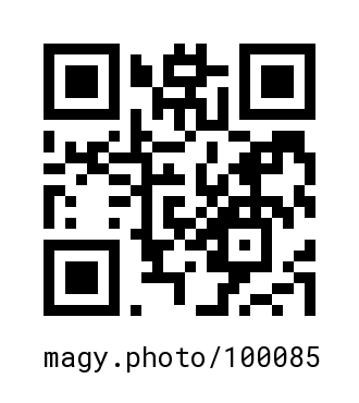 QR Code #100085