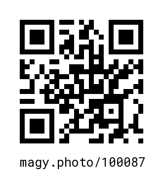 QR Code #100087