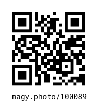 QR Code #100089