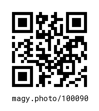 QR Code #100090