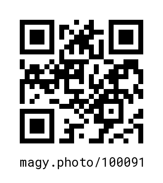 QR Code #100091