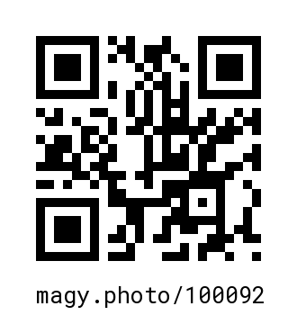 QR Code #100092
