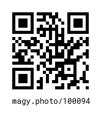 QR Code #100094