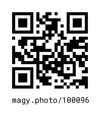 QR Code #100096