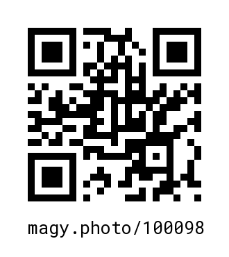 QR Code #100098