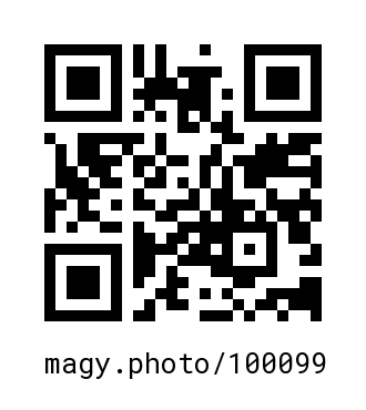 QR Code #100099