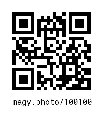 QR Code #100100