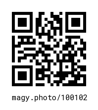 QR Code #100102