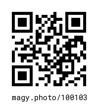 QR Code #100103
