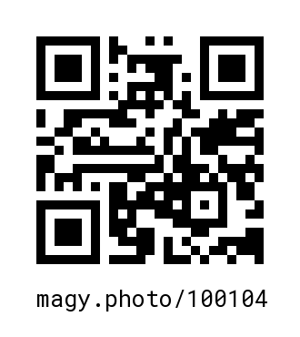 QR Code #100104