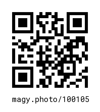 QR Code #100105