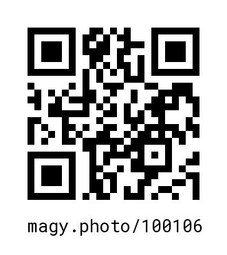 QR Code #100106