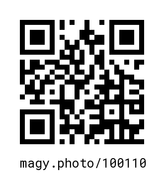 QR Code #100110