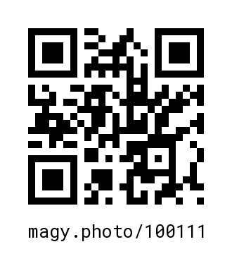 QR Code #100111