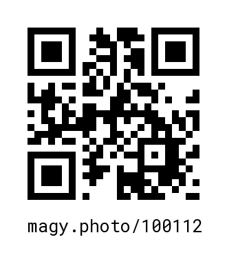 QR Code #100112