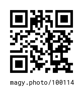QR Code #100114