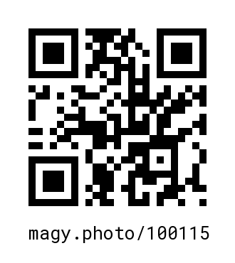 QR Code #100115