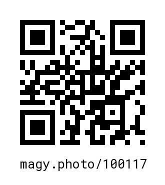 QR Code #100117