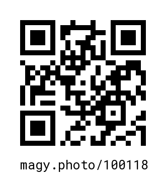 QR Code #100118