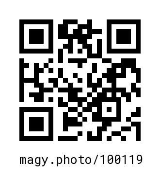 QR Code #100119