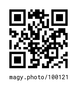 QR Code #100121