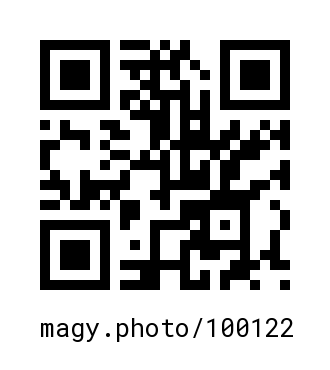 QR Code #100122