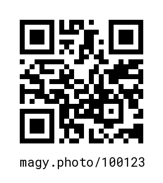 QR Code #100123