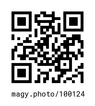QR Code #100124