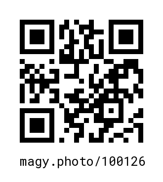 QR Code #100126