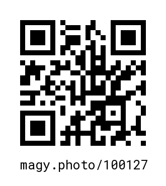 QR Code #100127