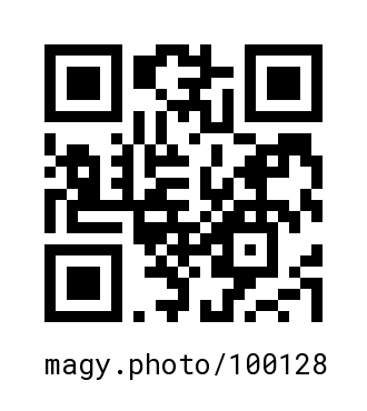 QR Code #100128