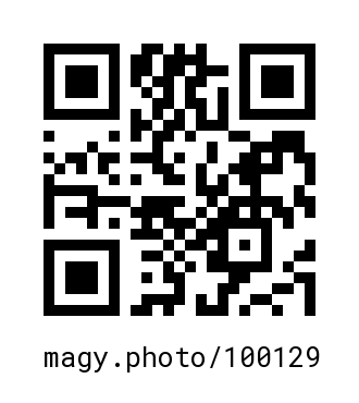 QR Code #100129