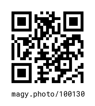 QR Code #100130