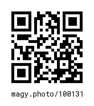 QR Code #100131