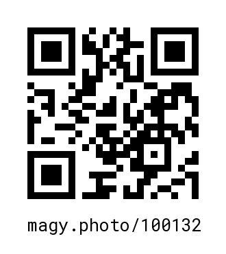 QR Code #100132