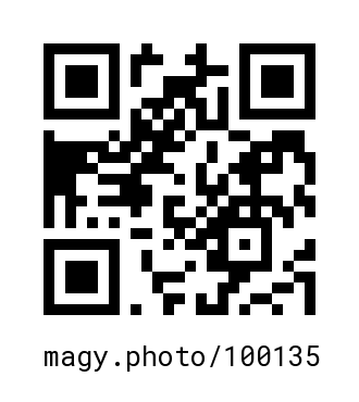 QR Code #100135