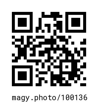QR Code #100136